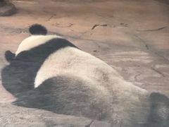 -二一九公园