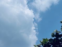 -武昌江滩