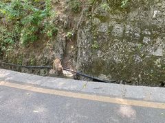 -黔灵山公园