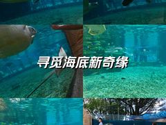 -广州海洋馆