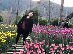 景点-西昌邛海湿地