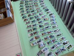 -学知乐教育·幼小衔接·小学科辅导(嘉定镇校区)