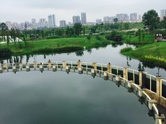 -眉山湿地公园(东坡区)