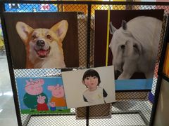 -Refn油画丨零基础定制油画