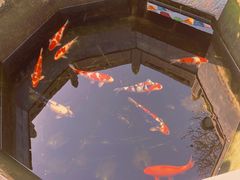 -西安市广仁寺