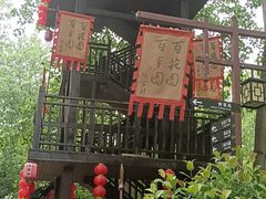 -合肥滨湖国家森林公园