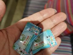 -雀舞云南菜(天津天河城购物中心店)