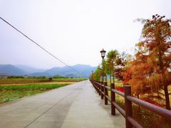 -四明湖