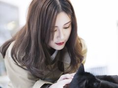 -吉丁鸟咖·异宠·寄养