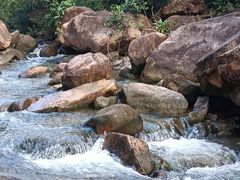 -广州白江湖森林公园