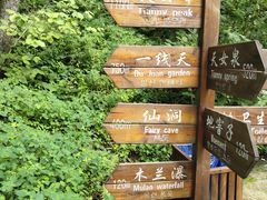 -天女山森林公园