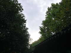 -兴福望岳楼老面馆(寺路街店)