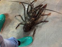 -班赞海鲜市场