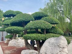 -济南大明湖景区