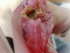 -粉粉乐鲷鱼烧(美罗城店)