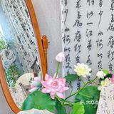 开个方子给广州新中式养生茶尊嘟遥遥领先