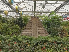 -南宫五洲植物乐园