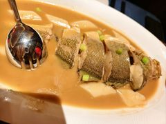 -老吉堂上海本帮菜(工体店)