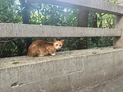 -广州市白云山风景名胜区