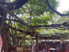 -红螺寺