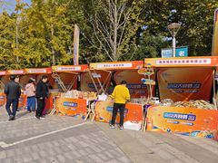 -紫荆广场·花漫里