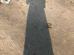 -嵊泗基湖沙滩