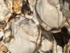 -千滋百味自助海鲜烤肉(布吉景华店)