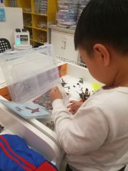 点击看大图 -Block Park 租乐高(D32店)