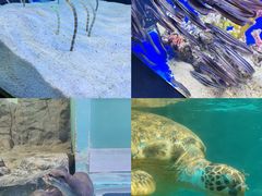 -正佳极地海洋世界
