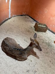 -Zoolung Zoolung动物主题公园(海信广场店)