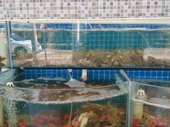 -仙螺岛海鲜自助餐厅(总店)