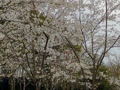 -黄兴公园