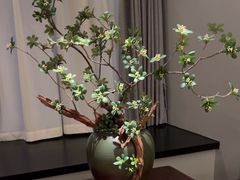 -香丰阁·烤鸭·川湘菜(清河店)