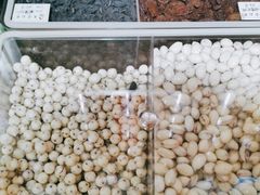 -彭城薯栗(富国街店)