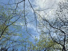 -南山风景名胜区