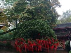 -峨眉山报国寺