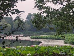 -金鸡湖桃花岛
