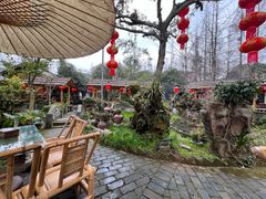 -青城甲(青城山店)