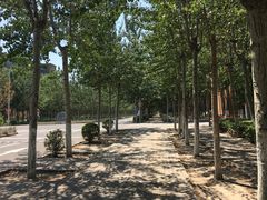 -天津现代职业技术学院