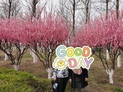 -永定河休闲森林公园