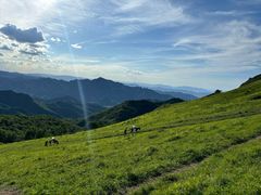 -灵山
