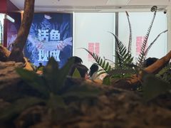 -老板恋上鱼(恒隆广场店)