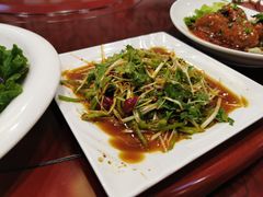 -石老头关东饺子王·东北菜(嘉华鑫城店)