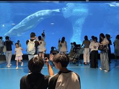 -海合安武汉极地海洋公园