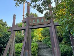 -杭州半山国家森林公园