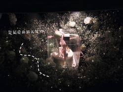 -告白气球派对策划·求婚·订婚宴·宝宝宴·生日派对