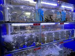 -石锅苗苗鱼(武汉首店)
