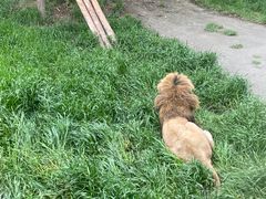 -上海野生动物园