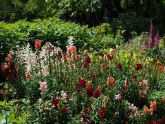 -上海共青森林公园