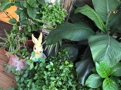 -Jo's Garden